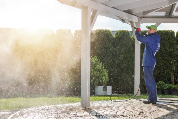 Best Rust Removal  in Sherman, IL