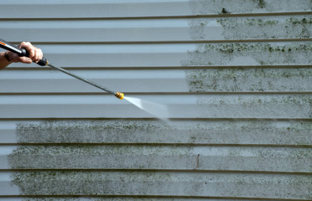 Best Spring Cleaning  in Sherman, IL